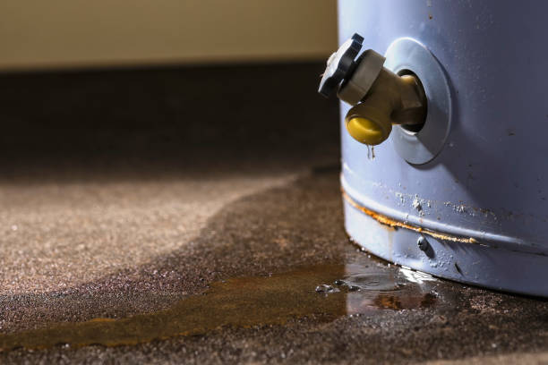 Best Water damage restoration near me  in East Franklin, NJ