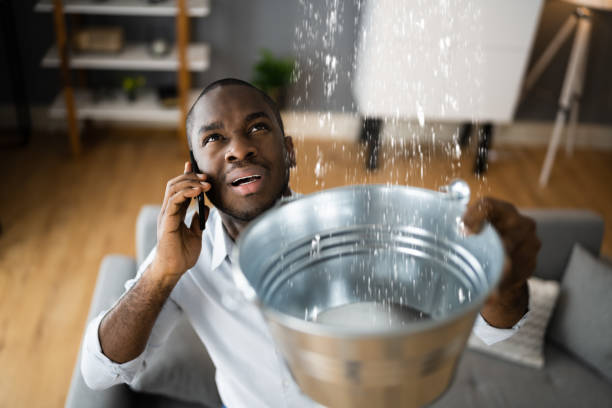 Best Mold removal after water damage  in East Franklin, NJ