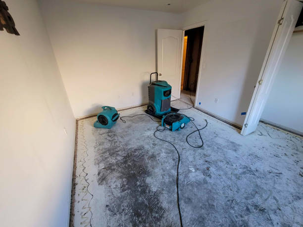 Best Water damage restoration company  in East Franklin, NJ