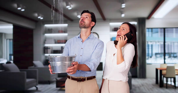 Best Water damage contractors near me  in East Franklin, NJ